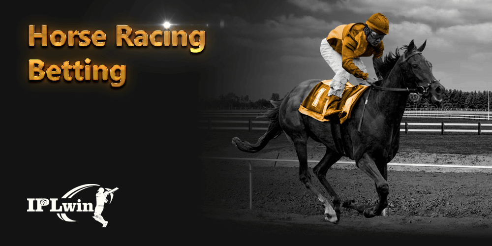 winabet365